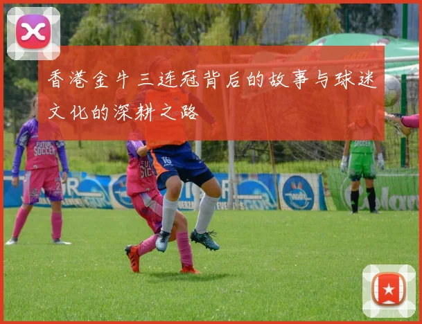 香港金牛三连冠背后的故事与球迷文化的深耕之路